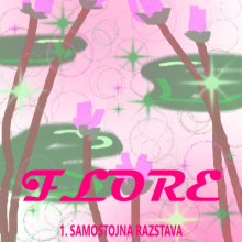 Prva samostojna razstava dijakinje Mojce Šabić