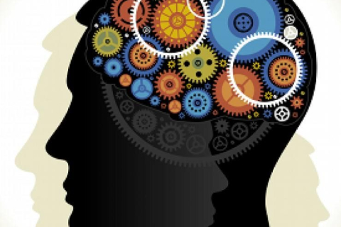 brain_gears (1)