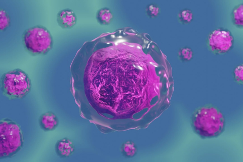 Državno tekmovanje iz biologije