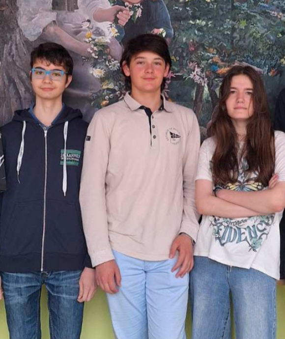 dijaki na državnem tekmovanju iz matematike 