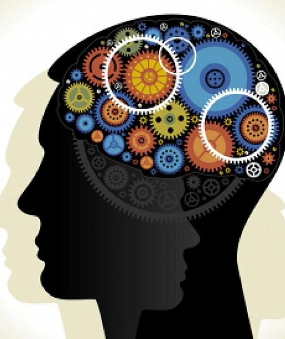 brain_gears (1)