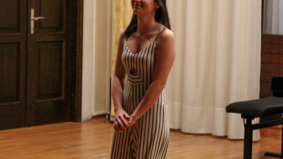 5_koncert_likovna_razstava (16)
