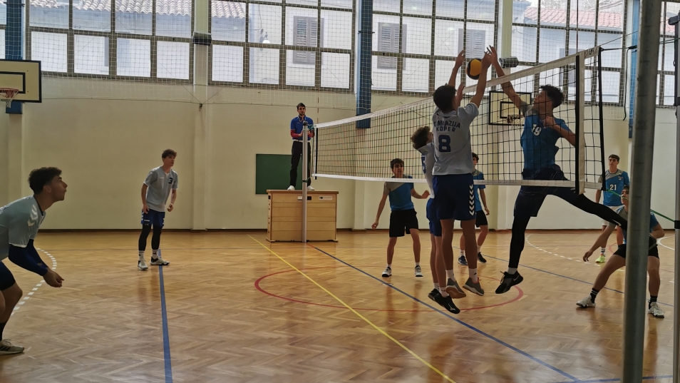 IMG_20231115_094651