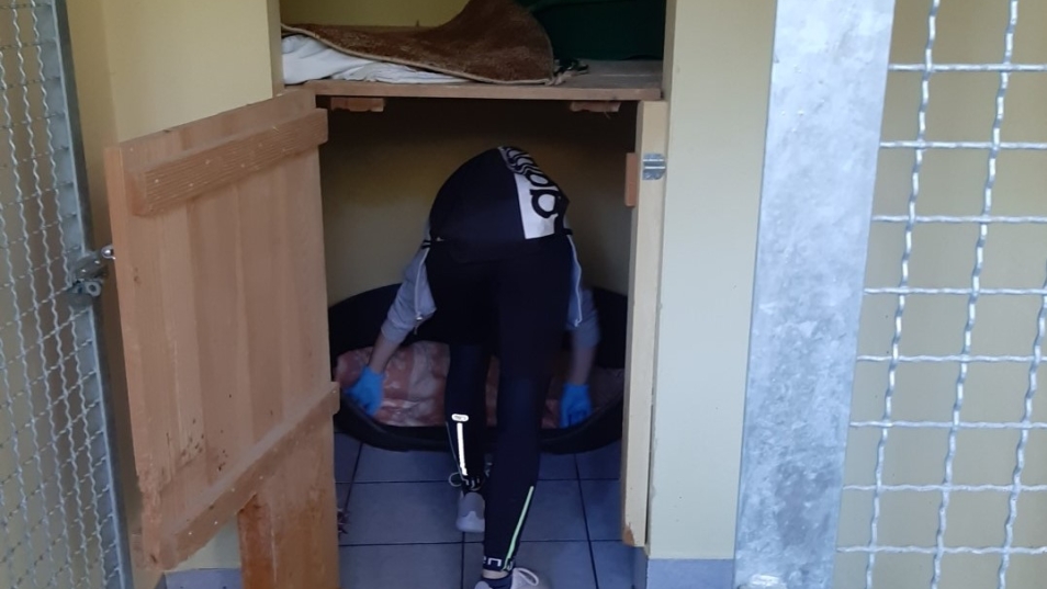 Zavetisce 19-20 (5)