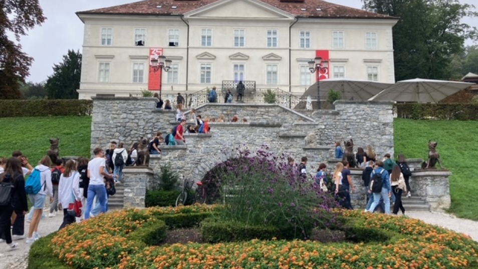 image5