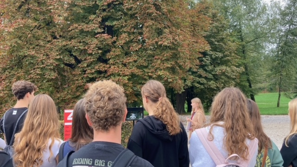 image8