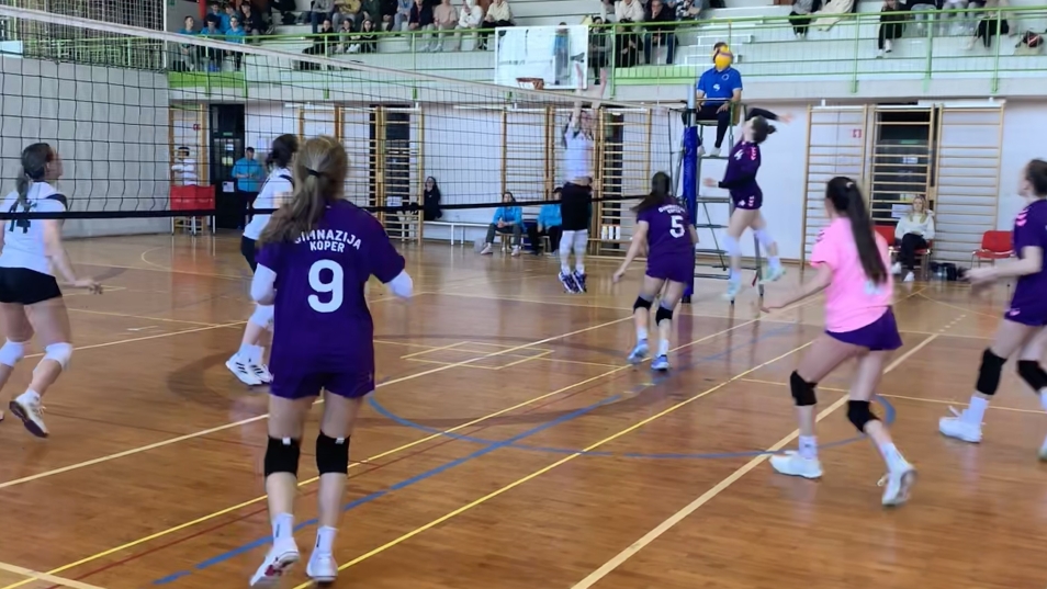 image_50414081