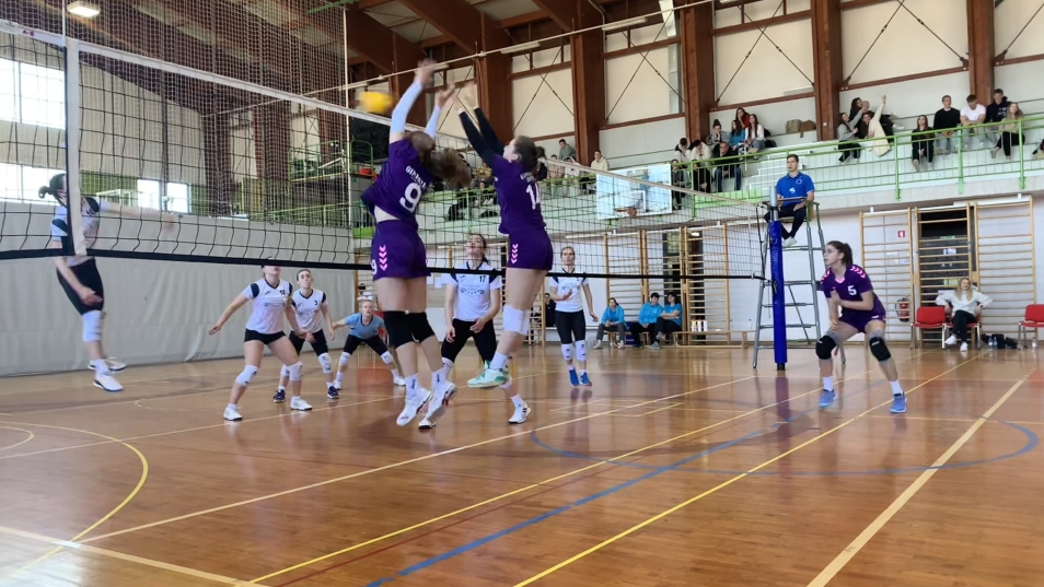 image_50437889