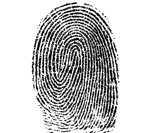 fingerprint-1382652_640